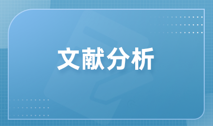 文献分析